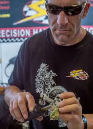 High Times Cannabis Cup gives Wine Country different weekend buzz