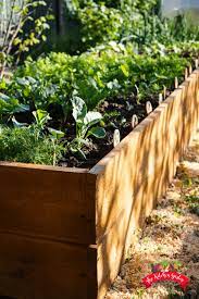 How To Start A Raised Bed Garden Vegetable Garden Raised Beds Raised Garden Beds Herb Garden Design