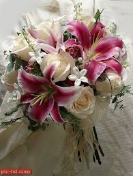 صور بوكيه ورد صور بوكيهات ورد جميلة اجمل صور بوكيه ورود Lily Bouquet Wedding Stargazer Bouquet Stargazer Lily Bouquet