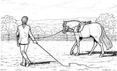 Lineart Farm Animal Coloring Pages Horse Drawings Horse Coloring