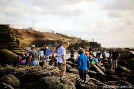 Amazing Sea Life At Cabrillo National Monument Tide Pools