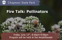 Fire Talk: Pollinators