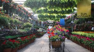 Gulley greenhouse is proud to introduce our new jiffy preforma plant plug media. Second Generation Owner Takes Charge At Tonkadale Greenhouse Garden Center Magazine