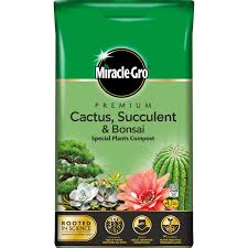 Your cacti will love it! Miracle Gro Premium Cactus Succulent Bonsai Compost 6l Homebase