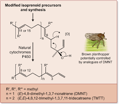 Find here online price details of companies selling pest control chemicals. Plant Volatile Mediated Signalling And Its Application In Agriculture Successes And Challenges Pickett 2016 New Phytologist Wiley Online Library