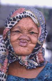 مضحكة طريفه فكاهيه متحركه حيوانات متحركه 13368473415 gif grandma funny happy birthday pictures happy birthday quotes