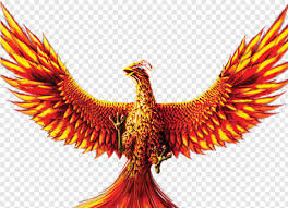 Finally, the bird was itself again. Phoenix Phoenix Bird Transparent Background Hd Png Download 641x463 19202412 Png Image Pngjoy