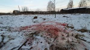 От чего ее вдруг всю перекосоебило? V Karpinske Obnaruzhili Razodrannye Trupy Sobak Vechernie Vedomosti