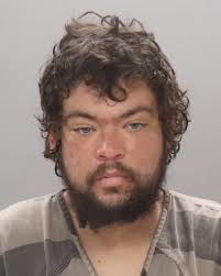 FRANKLIN, MARTY LEE Charges: VIOLATION OF PROBATION This information and  more is available https://apps.myocv.com/share/a95737804