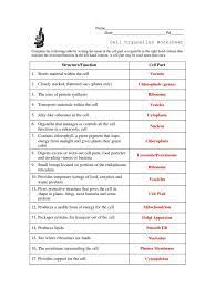 Related Image Cell Organelles Cells Worksheet Biology Worksheet