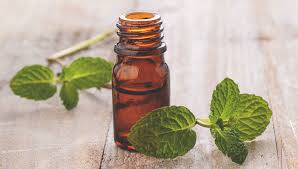 In fact, a few leaves of wild mint, peppermint or spearmint may even freshen your pup's breath or help with digestion. Does Peppermint Oil Repel Spiders
