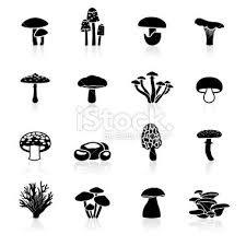Black And White Mushroom Pictures Black Symbols Edible Mushrooms Stuffed Mushrooms Mushroom Tattoos Mushroom Design