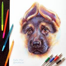 Animal Art With Pencil Ballpoint Pen And Paint Pen Art Drawings Colored Pens Drawing Animal Drawings
