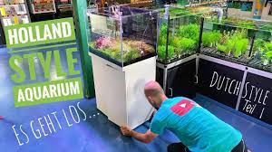 Since 1955 we are dedicated to supply our customers with top quality aquarium fish. Das Kleine Hollandaquarium Macht Platz Fur Ein Grosses Dutch Style Teil 1 Youtube