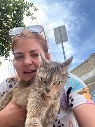 Spanky wants pet. 😺 He has a tooth bothering him. Dentals are a pain for  cats Requies general anesthesia and expensive