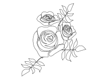 Malvorlagen Rosen Und Rosenknospen Zum Ausmalen