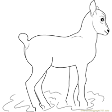 You can also do online coloring for thin mountain goat coloring pages directly from your ipad, tab or on our webpage here. Mountain Goat Coloring Page For Kids Free Goat Printable Coloring Pages Online For Kids Coloringpages101 Com Coloring Pages For Kids