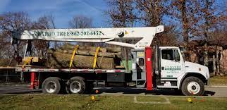 Quality tree removal, tree trimming, stump removal, cabling, bracing and emergency services. Navarro Lawn Tree Services Home Facebook