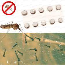 La première astuce consiste d'abord à tuer les larves des moucherons déjà présentes dans la terre. Bassin De Jardin Moustiques