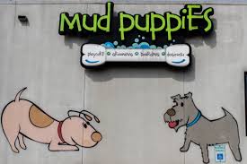 All dogs must be picked up within 2 hours of groomer's call. Fundraiser By Edward Flores Mud Puppies Employee Relief Fund