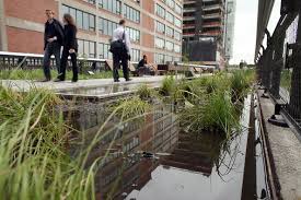 We did not find results for: Friday Feature High Line Park Nyc Regina Urban Ecology