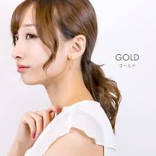 ピアス レディース サージカルステンレス製 金属アレルギー対応 メタル V字 フック ジプシー シンプル クール : vie-p1253 : ピアス  アクセサリーカラコンPIENA