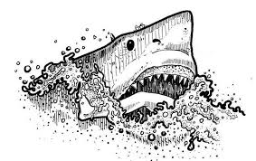 Jumping Shark Sketch Within 15 Minutes You Will Love To Draw Shark Drawing Animal Drawings Drawings