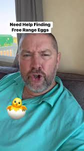 🥚✨ Right then folks