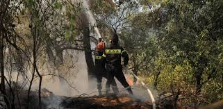 Μεγάλη φωτιά έχει ξεσπάσει στην περιοχή της σταμάτας στην αττική, με τις φλόγες μάλιστα να βρίσκονται κοντά σε. O4lutdtdlbp1tm