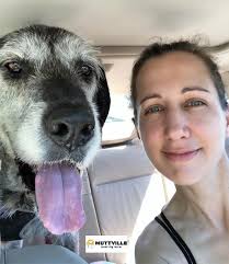 Muttville Senior Dog Rescue