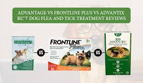 Some of these chemicals contain harmful pesticides. Frontline Plus For Dog Archives Discountpetcare