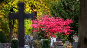 Termine und informationen und bedeutung zum feiertag allerheiligen datum: Allerheiligen 2019 Der Feiertag Am 1 November In Ulm Infos Zum Einkaufen Und Tanzverbot Sudwest Presse Online