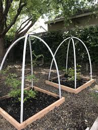 Bird Netting For Garden Near Me Take That Birds Cheap Way To Solve The Issue Of Birds Pilfering My Blueberries Pvc Velcro And Bird Netti Bird Netting Easy Garden Starting A Vegetable Garden