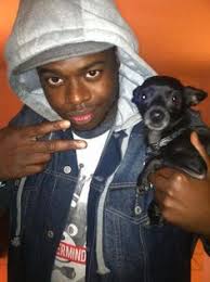 Seiring waktu anjing telah berkembang menjadi ratusan jenis dengan tingkat variasi yang tinggi. 35 Kevin Olusola Ideas Pentatonix Kevin Scott Hoying