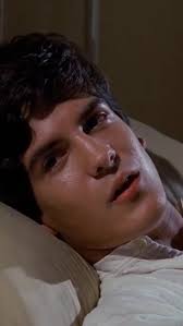 Little House: Look Back to Yesterday