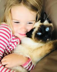 This candle is incredible! It's from the brand-new @kimbie_for_gemporia  guardian angels collection. A huge 1 kg candle with the most divine  fragrance and indeed the most loved here at Gemporia Angels breath