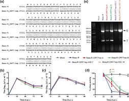 Talk meaning canadian ensemble badbadnotgood made their name by crossing genre. Repairing Orf 7 In Beau R Does Not Affect Viral Growth In Vitro A Download Scientific Diagram