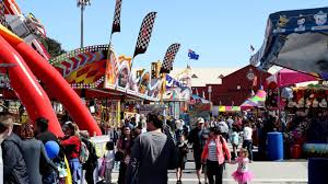 Ra&hs of sa ceo john rothwell, in the sheep pavilion, is positive about next year's event. Royal Adelaide Show What This Year S Covid Safe Event Will Look Like The Advertiser