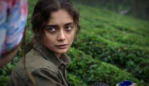 Kurtlarla Kosan Kadin Sibel 2018 82ekran