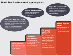 Need Help Deciding Which Grant Category To Apply For? - North Star Fund
