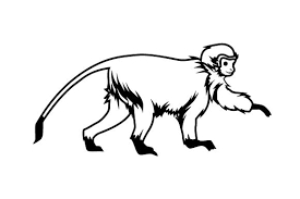 Free online image to vector tool png to svg, jpg to svg, and more. Realistic Monkey Svg Cut File By Creative Fabrica Crafts Creative Fabrica