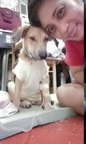 Bantay Animal Welfare