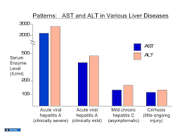 Liver Enzymes Level Chart Liver Enzymes Test Normal Range