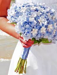 Call our staff today for details. Pin By Robynn Spear On Wedding Bliss Hydrangeas Wedding Prom Flowers Bouquet Wedding Flowers