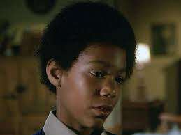 The Illustrated Waltons Episode Guide