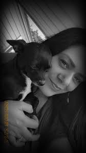 Kitty missing in foothills and 92 area