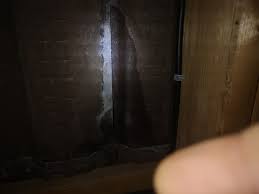 Tuile Humide Linternaute Com
