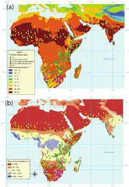 Image result for Blepharis involucrata