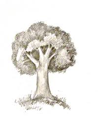 Today, we're making another folding surprise, but we're also learning about the different parts of a plant. How To Draw A Tree Happy Family Art