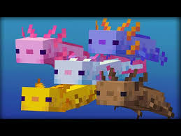 Biomes won't generate until the caves & cliffs: List Of Changes To Minecraft Axolotls In 1 17 10 Bedrock